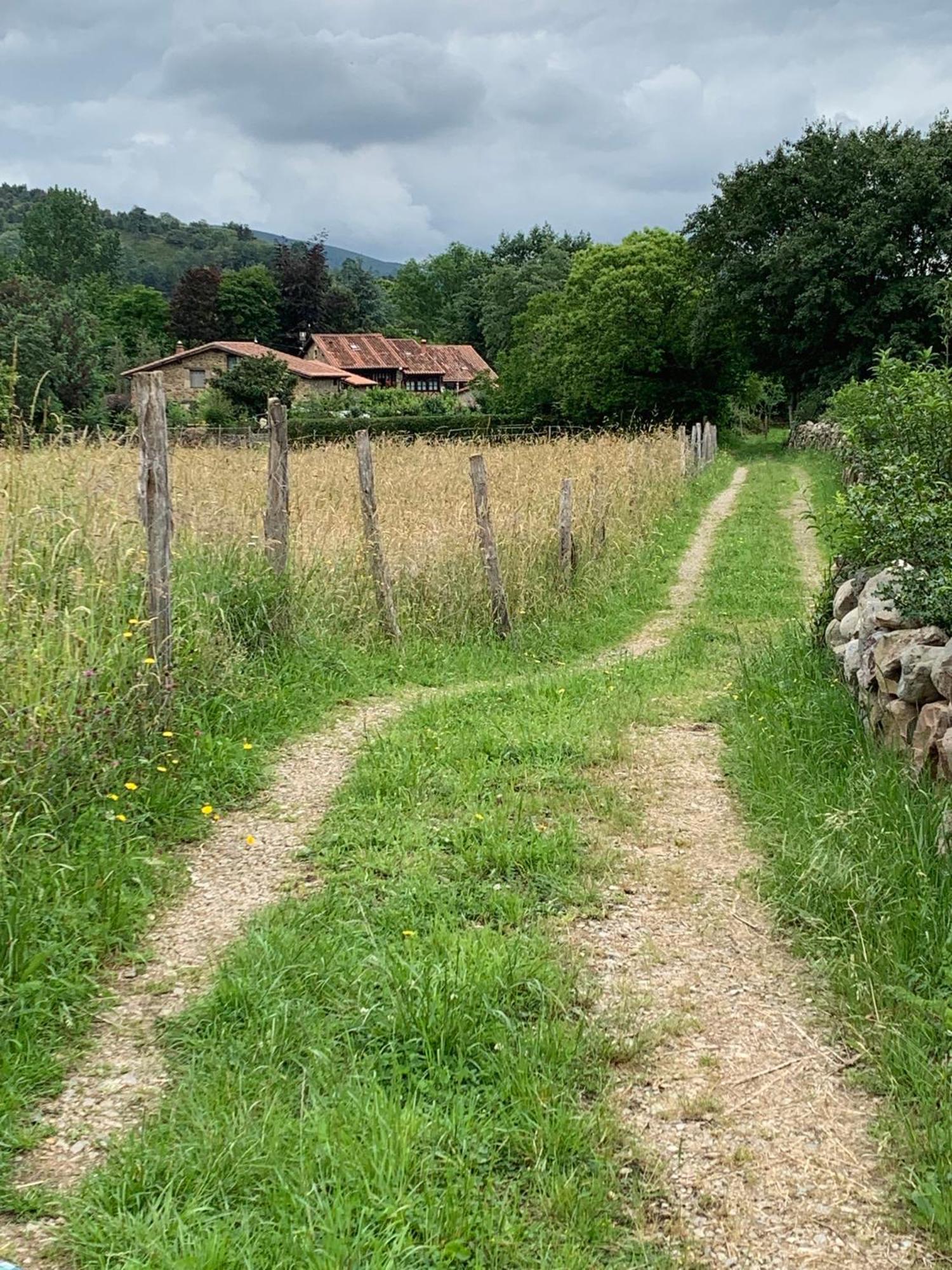 Remanso Del Rio Saja Villa Renedo De Cabuerniga Dış mekan fotoğraf