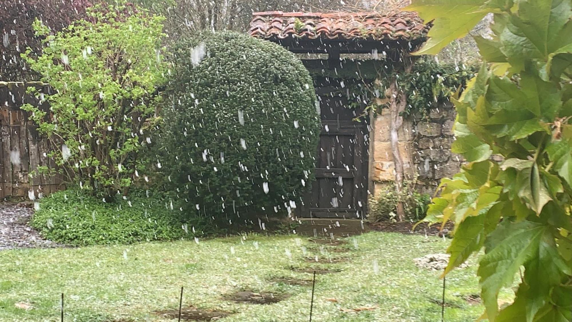 Remanso Del Rio Saja Villa Renedo De Cabuerniga Dış mekan fotoğraf